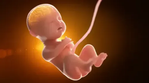 Fetal Brain Development Stages: When Does a Fetus Develop a Brain?
